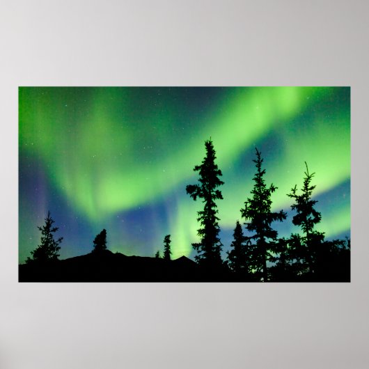 Intensive Aurora borealis über schwarze Fichtentai Poster (Vorne)