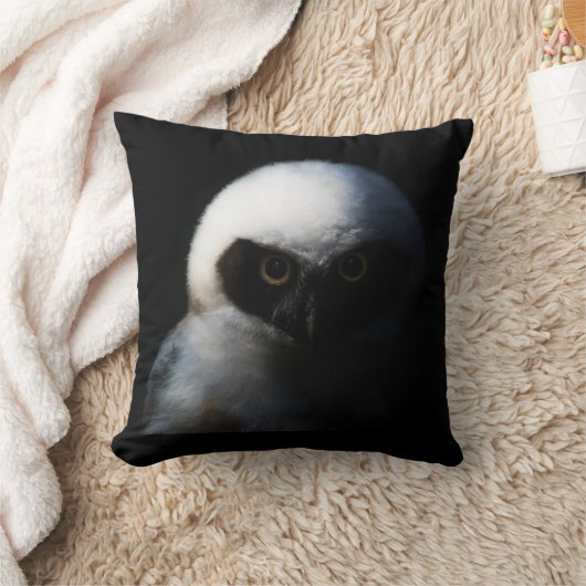 Intensive Baby Owl Kissen (Decke)