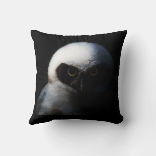 Intensive Baby Owl Kissen (Rückseite)