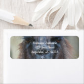 Intensive Black Llama Farm Animal Address (Insitu)