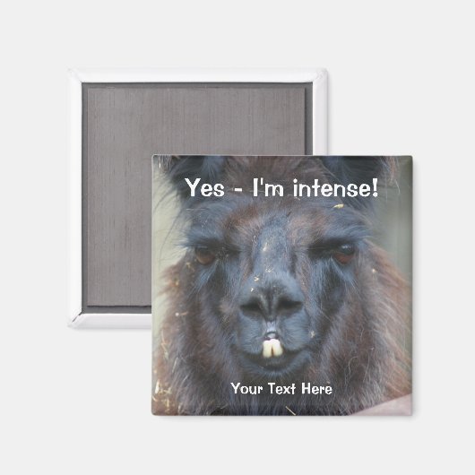 Intensive Black Llama Funny Animal Magnet (Vorderseite/Rückseite)