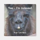 Intensive Black Llama Funny Animal Magnet (Vorne)