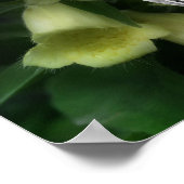 Intensive Foxglove Blume Rahmen hinzufügen Ihr Fot Poster (Ecke)