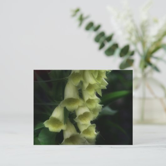 Intensive Foxhandschuhe Blume Postkarte (Stehend Vorderseite)