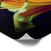 Intensive Gelblilie-Blume Poster (Ecke)