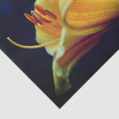 Intensive Gelblilie-Blume Seidenpapier (Ausschnitt)