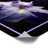 Intensive japanische Iris-Blume Nah Abstrakt Poster (Ecke)