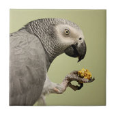 Intensive Kongo Afrikanischer Grau-Papagei-Snack Fliese (Vorderseite)