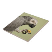 Intensive Kongo Afrikanischer Grau-Papagei-Snack Fliese (Seite)