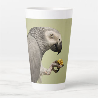Intensive Kongo Afrikanischer Grauer Papagei Snack Milchtasse