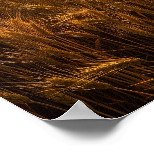 Intensive Noontime Sun Poster (Ecke)