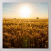 Intensive Noontime Sun Poster (Vorne)