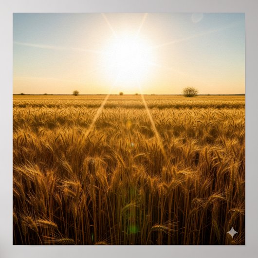 Intensive Noontime Sun Poster (Vorne)