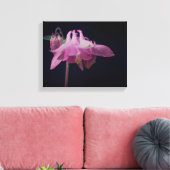 Intensive rosa Kolumbin Blume Nah Leinwanddruck (Insitu (Wohnzimmer))