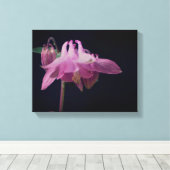 Intensive rosa Kolumbin Blume Nah Leinwanddruck (Insitu (Holzboden))
