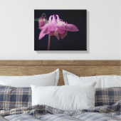 Intensive rosa Kolumbin Blume Nah Leinwanddruck (Insitu (Schlafzimmer))