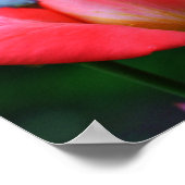 Intensive rosa Rosenknospe und Seile Poster (Ecke)