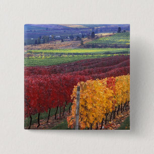 Intensive rote und gelbe Herbstfarben auf Gehring Button