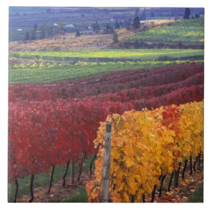 Intensive rote und gelbe Herbstfarben auf Gehring Fliese