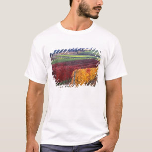 Intensive rote und gelbe Herbstfarben auf Gehring T-Shirt