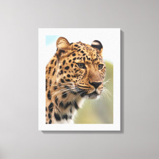 Intensiver Blick des Leoparden Leinwanddruck