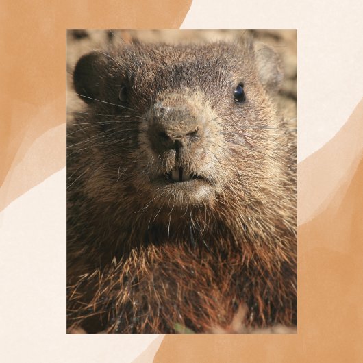 Intensives Groundhog Nah-up Wildlife Postkarte