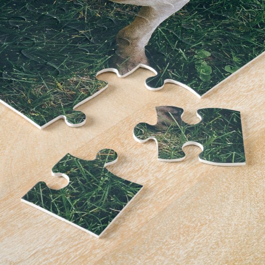 Intensives Weimaraner Puzzle (Seite)