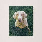 Intensives Weimaraner Puzzle (Vertikal)
