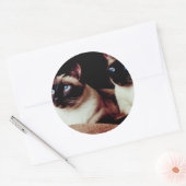 Intensivkatzen Runder Aufkleber (Umschlag)