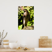 Intensivstarre Poster (Küche)