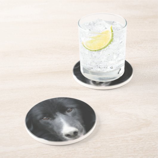 Intent Border Collie Face Dog Tierischer Untersetz Sandstein Untersetzer (Seite)