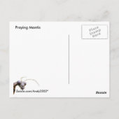 Intent Mantis ~ Postkarte (Rückseite)