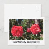 Intentionally Seek Beauty Postkarte (Vorne/Hinten)