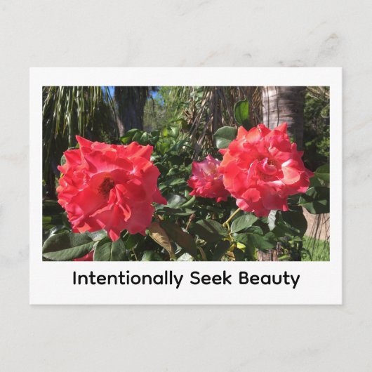 Intentionally Seek Beauty Postkarte (Vorderseite)