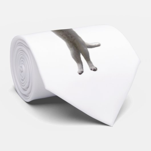 interdimensional LongCat Krawatte (Gerollt)