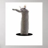 interdimensionale LongCat Poster (Vorne)