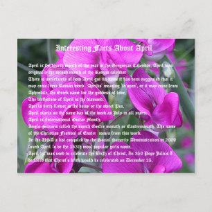 Interessante Fakten über April Postkarte