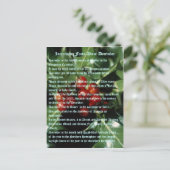 Interessante Fakten über Dezember Postkarte (Stehend Vorderseite)