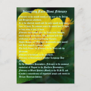 Interessante Fakten über Februar Postkarte
