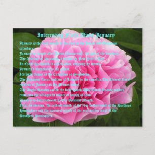 Interessante Fakten über Januar Postkarte