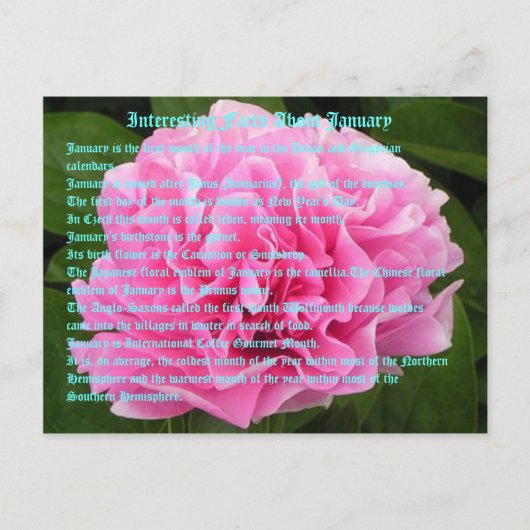 Interessante Fakten über Januar Postkarte (Vorderseite)