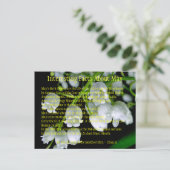 Interessante Tatsachen über Mai Ankündigungspostkarte (Stehend Vorderseite)