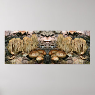 Interessante Wild Mushrooms Mirror Abstrakt Poster