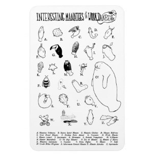 Interessanter Manatismagnet Magnet