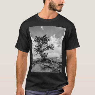 Interessanter Pine Tree Auf dem Queens Garden T-Shirt