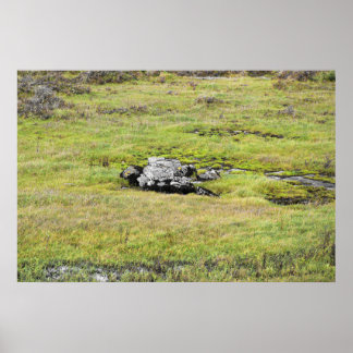 Interessensfragen Poster