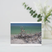 Interlaced Infatuation Postkarte (Stehend Vorderseite)