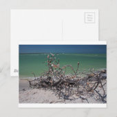 Interlaced Infatuation Postkarte (Vorne/Hinten)