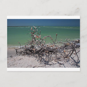 Interlaced Infatuation Postkarte