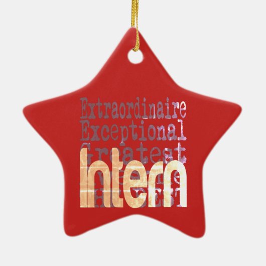 Intern Extraordinaire Keramik Ornament (Hinten)